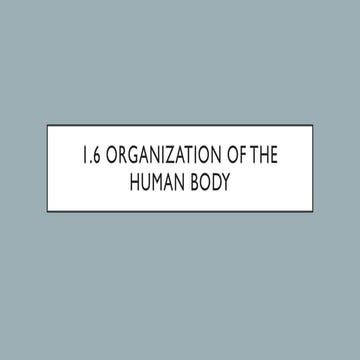 Body Cavites. Planes and Human Organization | PPTX