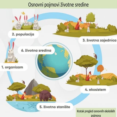 Zagađivanje i posledice zagađivanja | PPTX