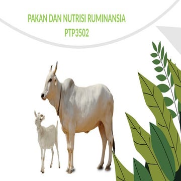 Mikrobiologi Rumen dan Nutrisi Ruminansia: Peran Mikroba dalam ...