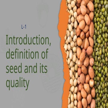 Classes of Seeds / Classification of Seeds / Category of Seeds | PPTX