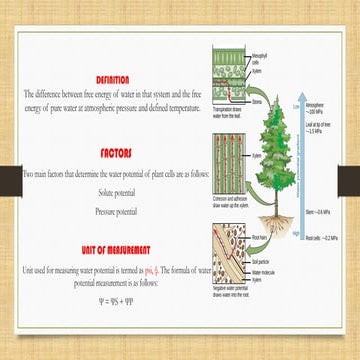 Methods to determine Plant water potential.pptx