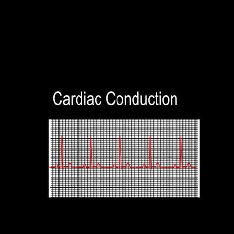 Comprehensive Overview of Cardiac Conduction and ECG Interpretation | PPTX