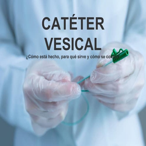 Catéter Vesical: Uso, Tipos, Colocación y Riesgos en la Salud Urinaria ...