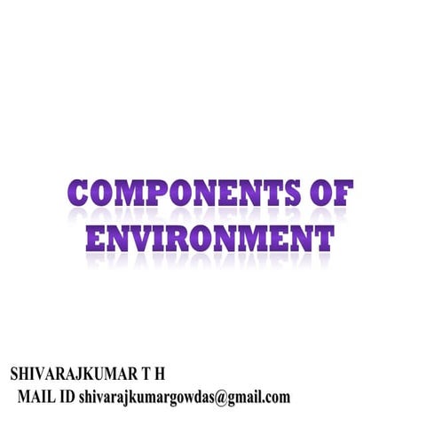 COMPONENTS OF ENVIRONMENT