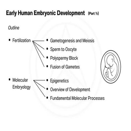 1-3Early Human Embryonic Development.pdf.pdf