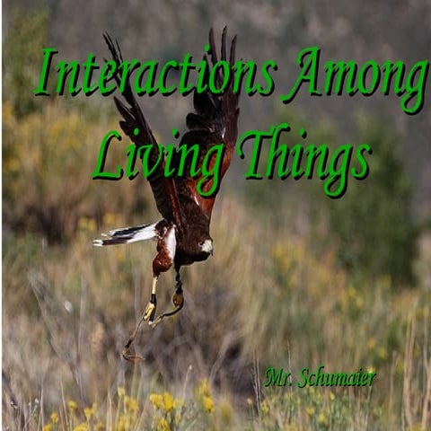 1 3interactionsamonglivingthings-090513100506-phpapp01