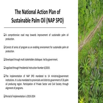 The National Action Plan of Sustainable Palm Oil (NAP SPO) | PDF