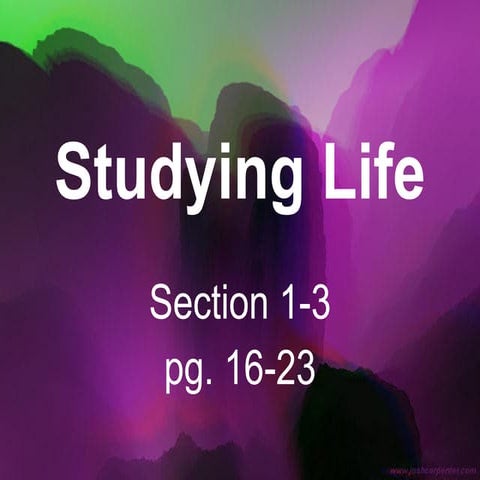 1 3 v2 | PPT