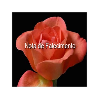 1.4.notadefalecimento 1
