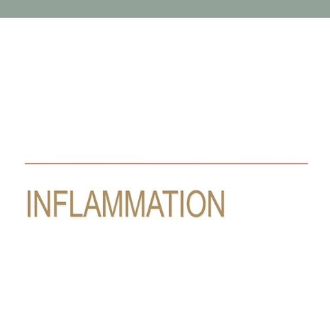 Inflammation Pathomorphology.pdf