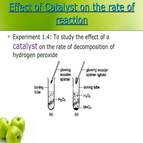 1.4 rate of reaction(1.2d)...biology