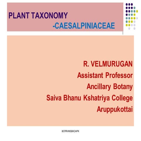 1  5 taxonomy -caesalpiniaceae