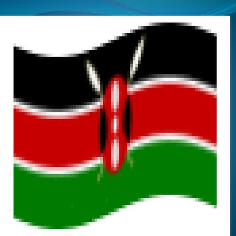 Gladys Mugambi, SUN Focal Point and Head of Nutrition and Dietetics Unit Mini...