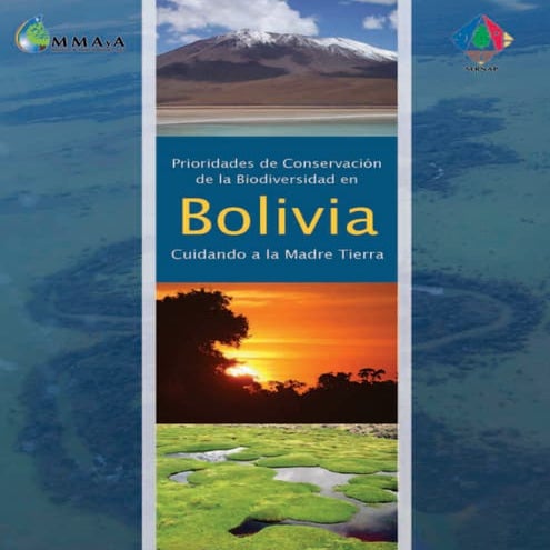 1 analisis de-prioridades_de_conservacion