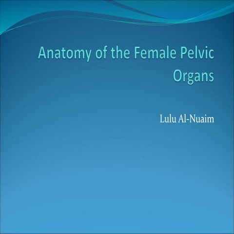 Anatomy visual data 6