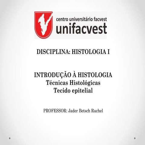 Análise do Poema - A Última Nau | PPTX