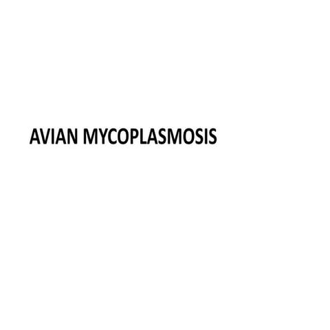 Avian Mycoplasmosis_Disease Overview
