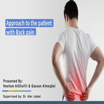 1-back pain presentation presentation .pptx