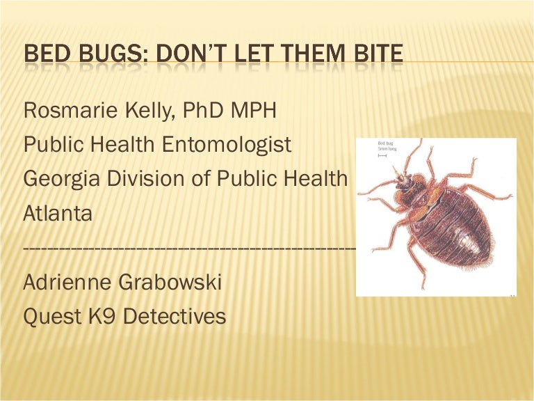 1. bed bugs