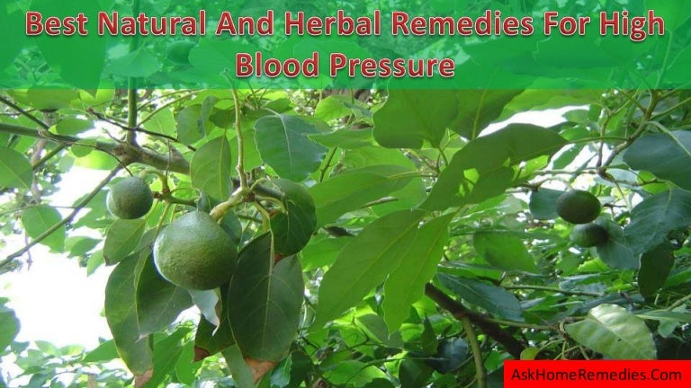 Best Natural And Herbal Remedies For High Blood Pressure