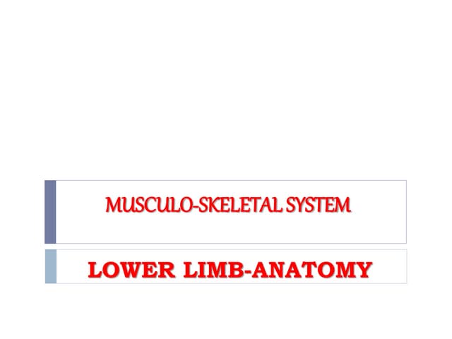 Anatomy and physiology of tibia and fibula tibia | DOC