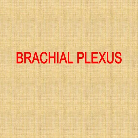1. brachial plexus & its applied anatomy[1]