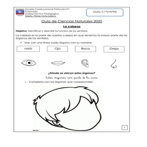 Guía de Ciencias naturales primero básico los sentidos.pdf