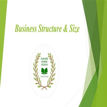 A Levels Business Chapter 1 - Business Structure