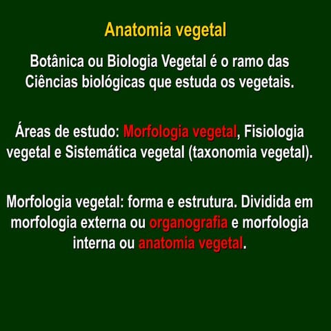 1. célula  vegetal revisão