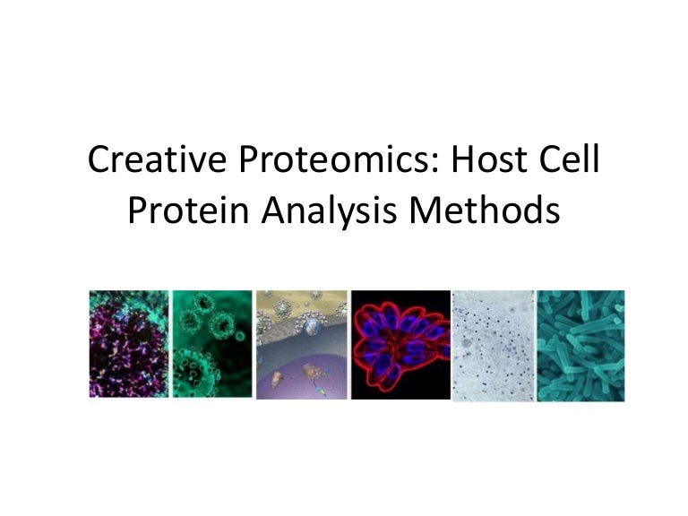 Host Cell Protein Analysis | Host Cell Protein Analysis Using CE-MS – FWOD
