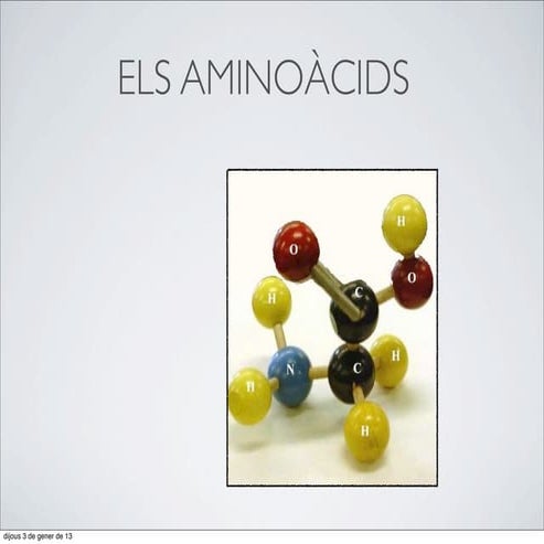 19. Els aminoàcids