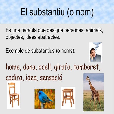 EL NOM: GÉNERE I NOMBRE