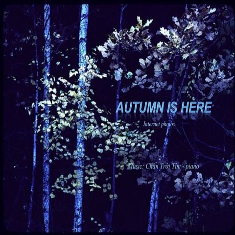 1 fall-23-autumn is here-chân trời tím piano