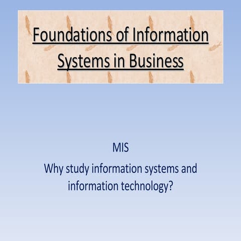 Foundations Of Information Systems In Business(97 2003)