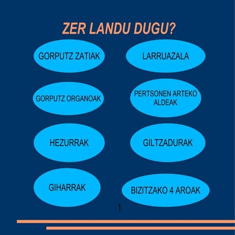 3.LH.1.GAIA. GURE GORPUTZA