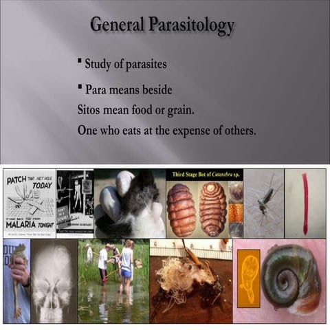 parasitology presentation.pptx