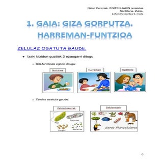 1  GIZA GORPUTZA . HARREMAN FUNTZIO...