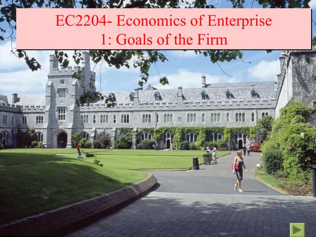 1  goals of the firm