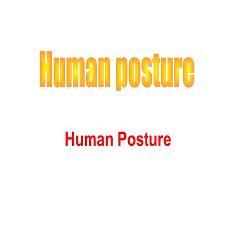 1 human posture