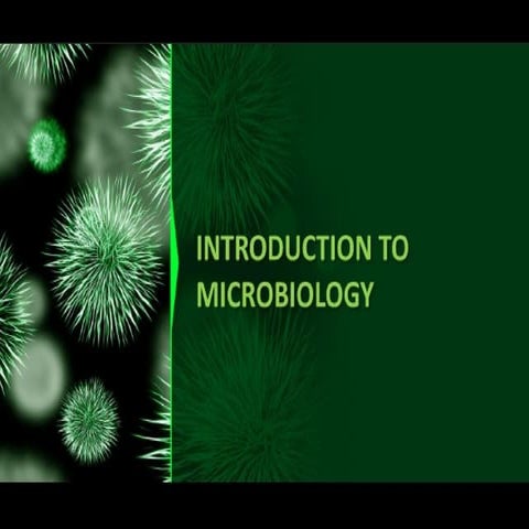 Exploring Branches of Microbiology and Key Pathogens | PPTX