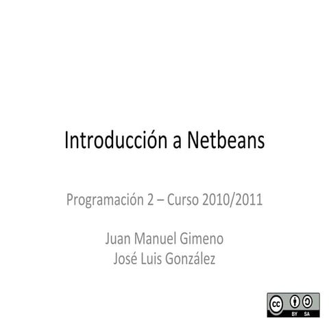 MANUAL DE NETBEANS | PDF