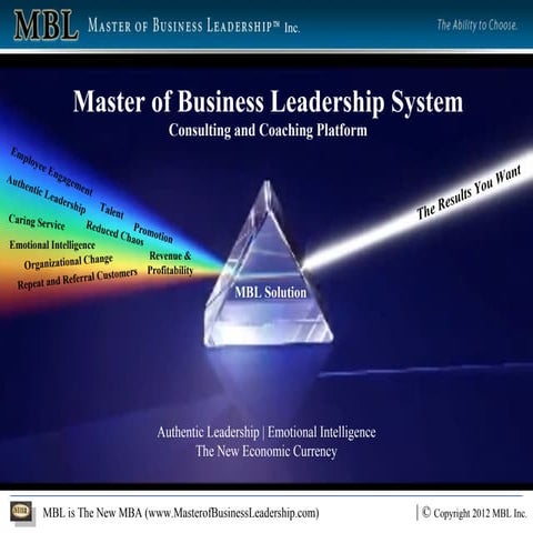 Master of Business Leadership ~ Introduction