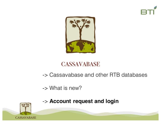 1  introduction to cassavabase 