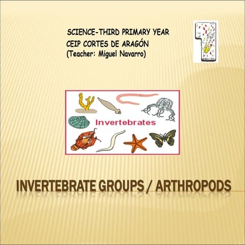 1 invertebrate groups