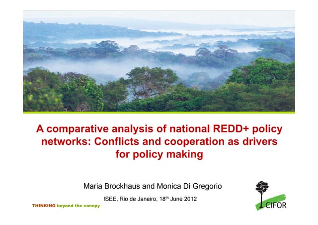 A comparative analysis of national REDD+ policy networks: conflicts and cooperation as drivers for policy making