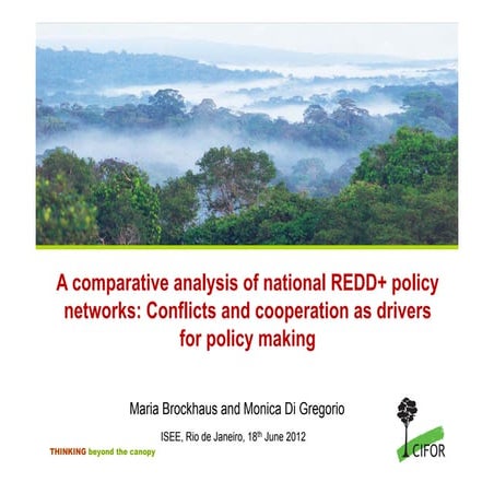 A comparative analysis of national REDD+ policy networks: conflicts and coope...