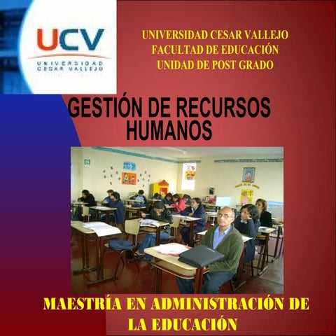 1. La organizacion