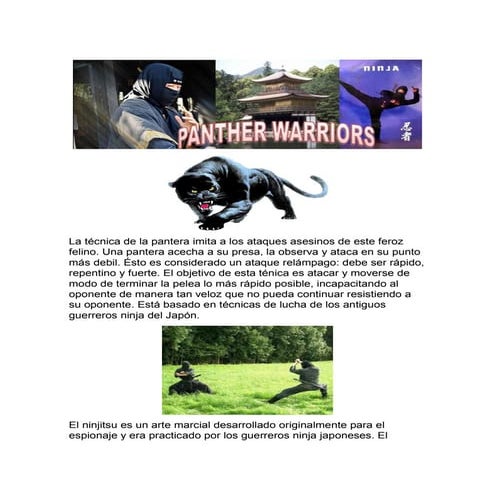 Manual Básico Shinobijutsu