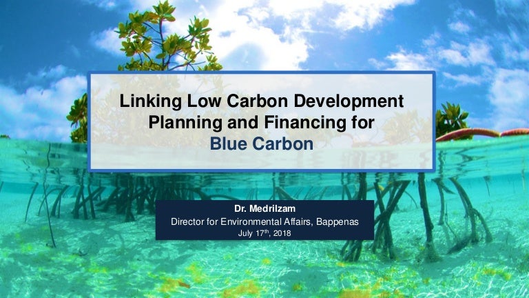 thumbnail of  Linking Low Carbon Development Planning and Financing for Blue Carbon