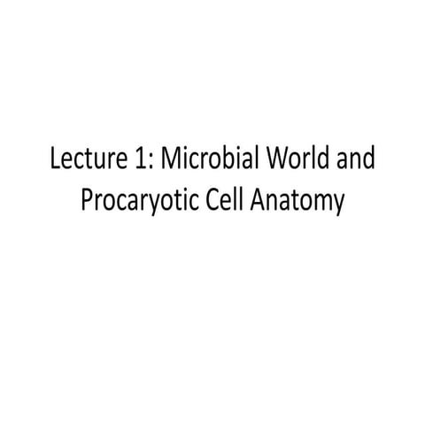1 - Microbial World and Prokaryotic Cell Anatomy